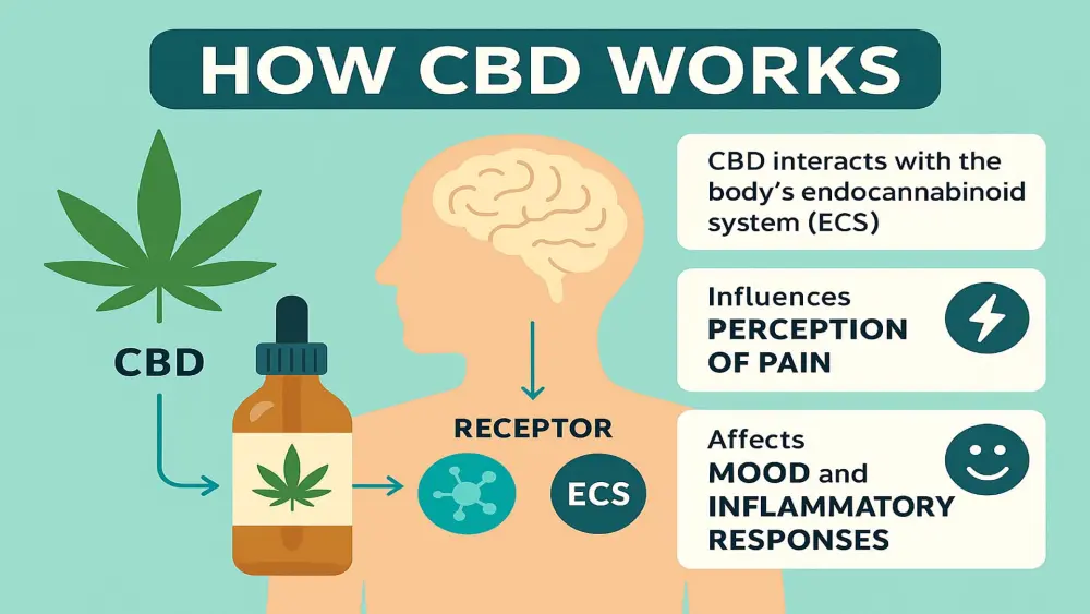 Gr&aacute;fico que muestra el efecto del CBD sobre las se&ntilde;ales de dolor