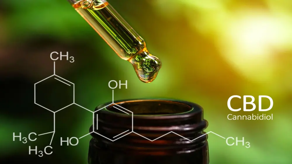 Visualizaci&oacute;n del sistema endocannabinoide y la interacci&oacute;n con CBD