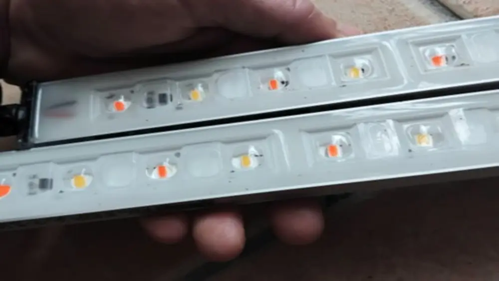 Tiras LED de cultivo utilizadas para esquejes y plántulas de cannabis, proporcionando luz de espectro completo con baja emisión de calor