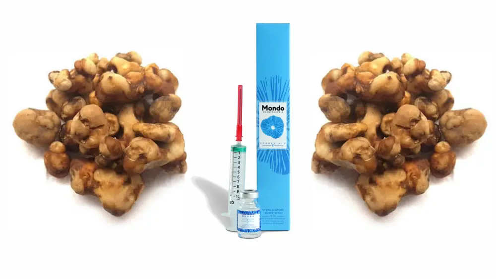 Kit de cultivo de psilocibina y esporas de hongos para cultivar hongos mágicos.