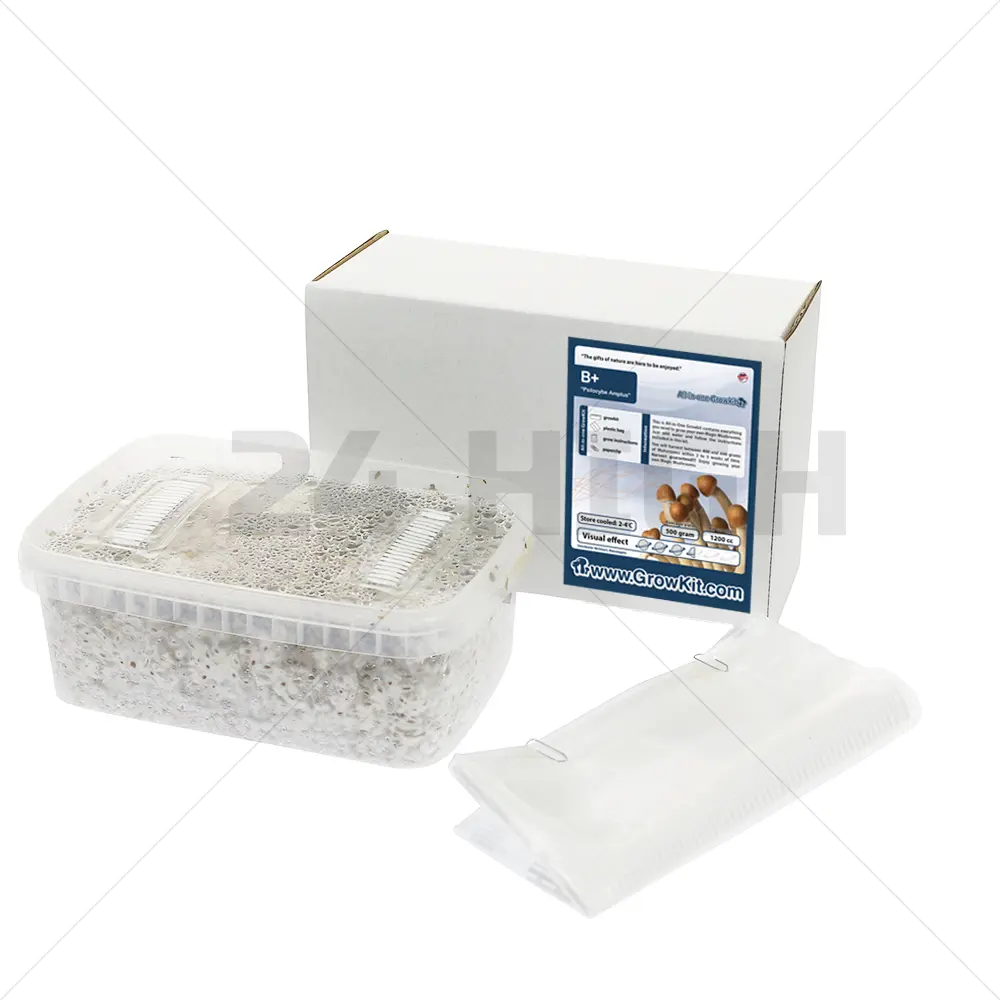 B+ Kit de Cultivo de Setas