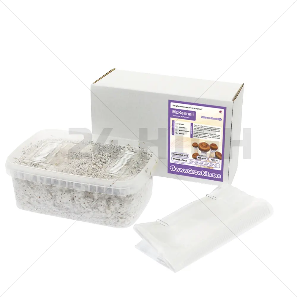 McKennaii Kit de Cultivo de Setas