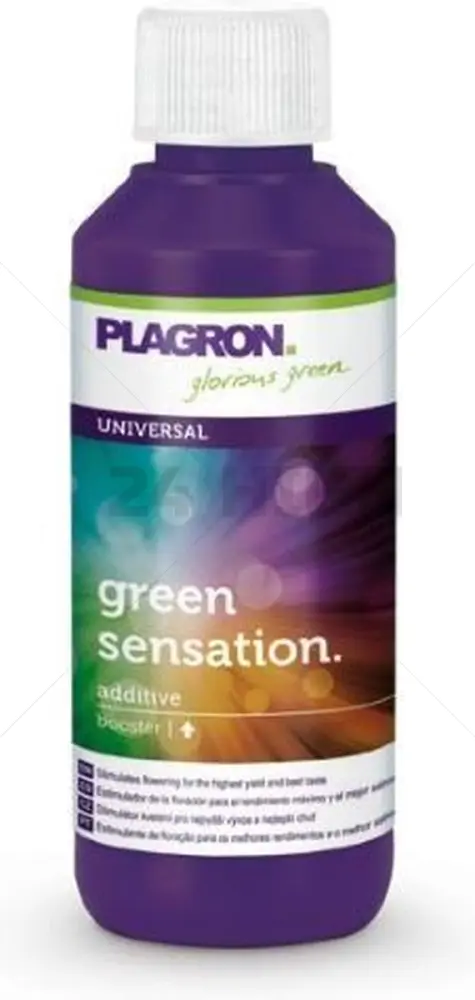 Plagron Sensación Verde - 100 ml