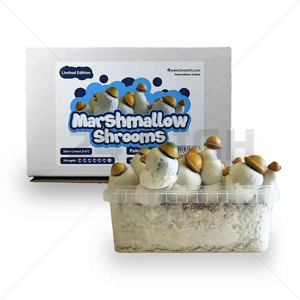 Marshmallow Shrooms Kit de cultivo de setas