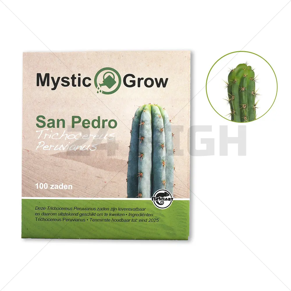 San Pedro semillas (Trichocereus Peruvianus)