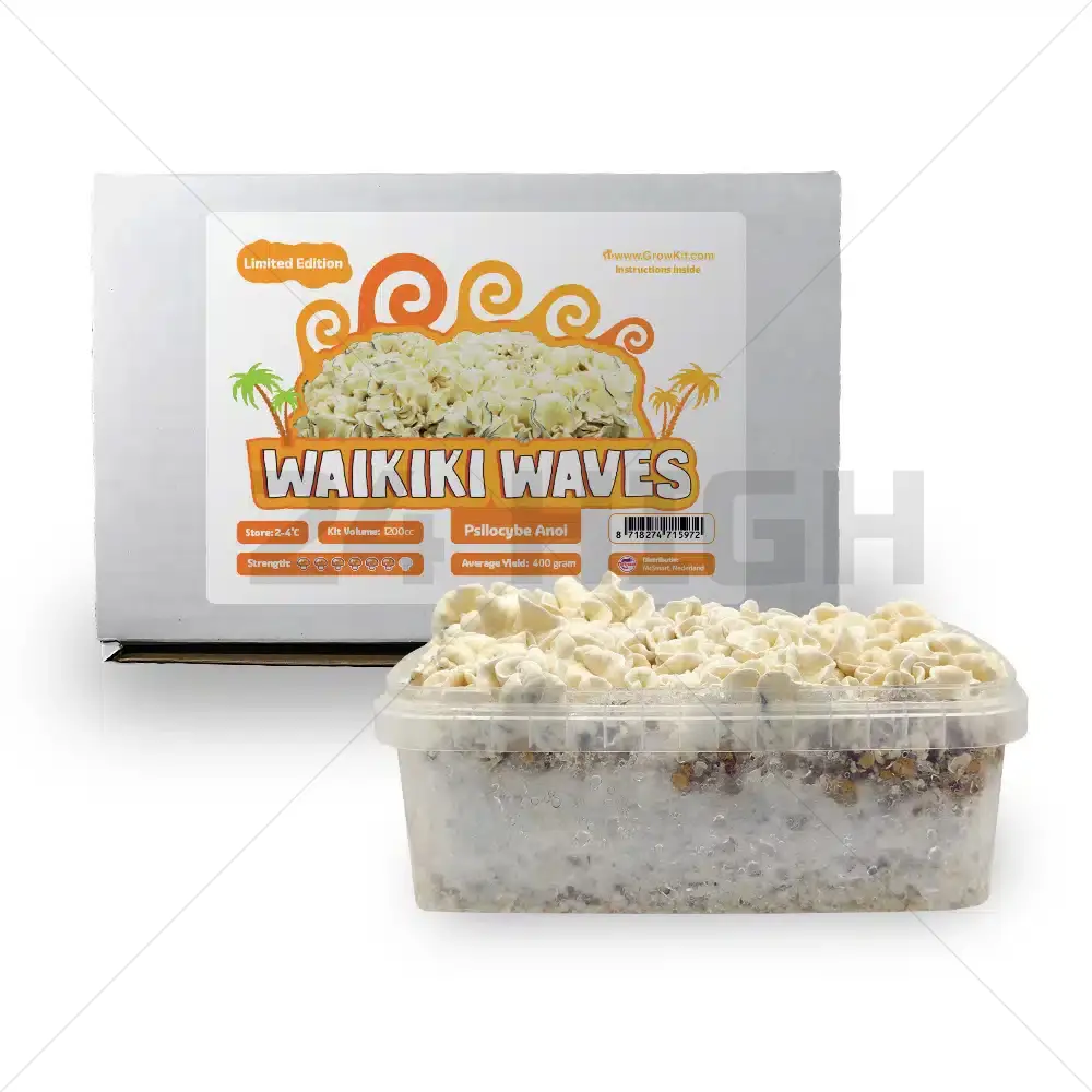 Waikiki Waves Kit de cultivo