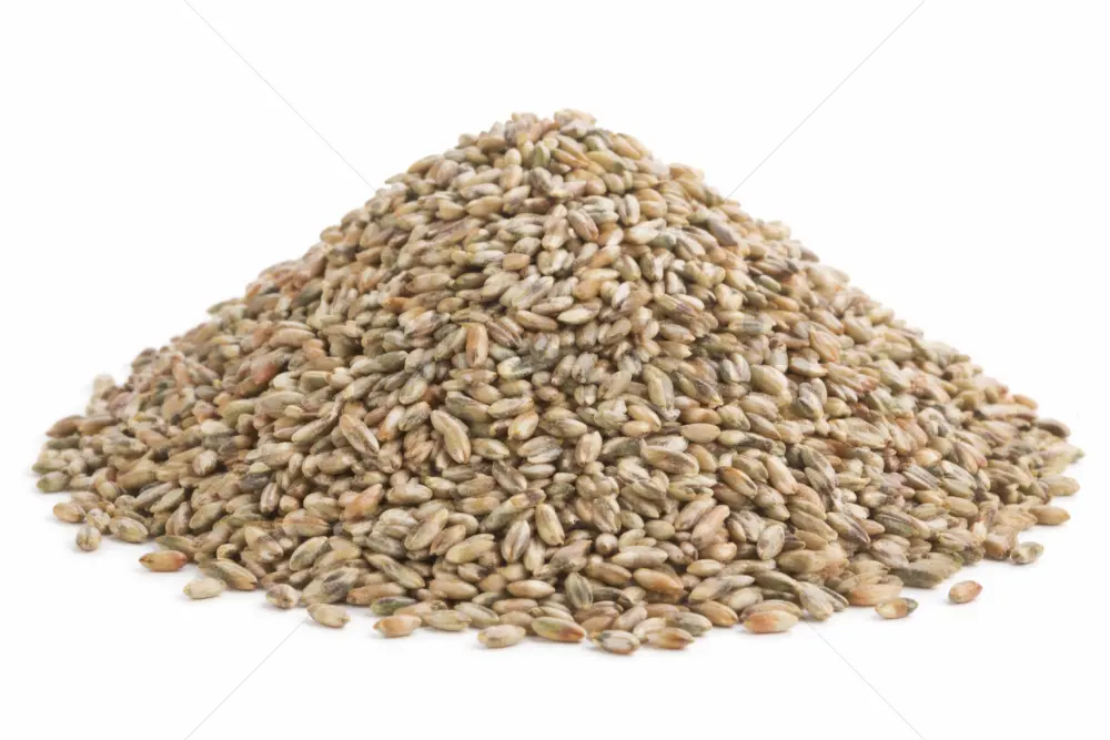 Centeno Grano - 1000 GR