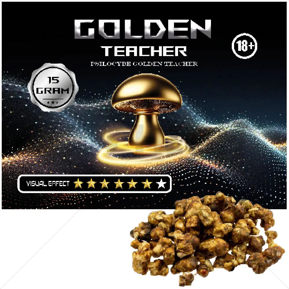 Trufas Psilocybe Golden Teacher