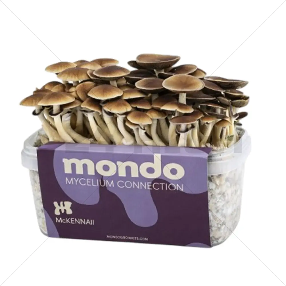 Kit de Cultivo de Setas McKennaii - Mondo