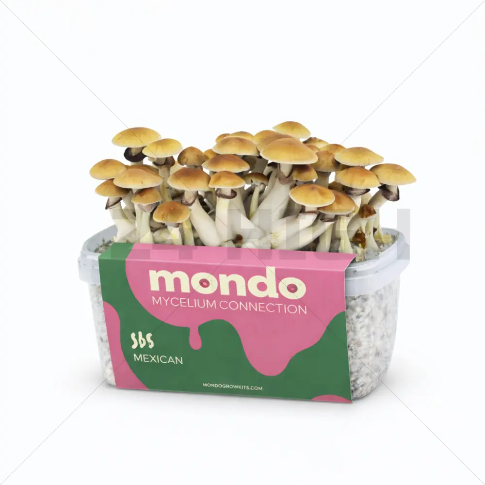 Kit de Cultivo de Setas Mexicanas - Mondo