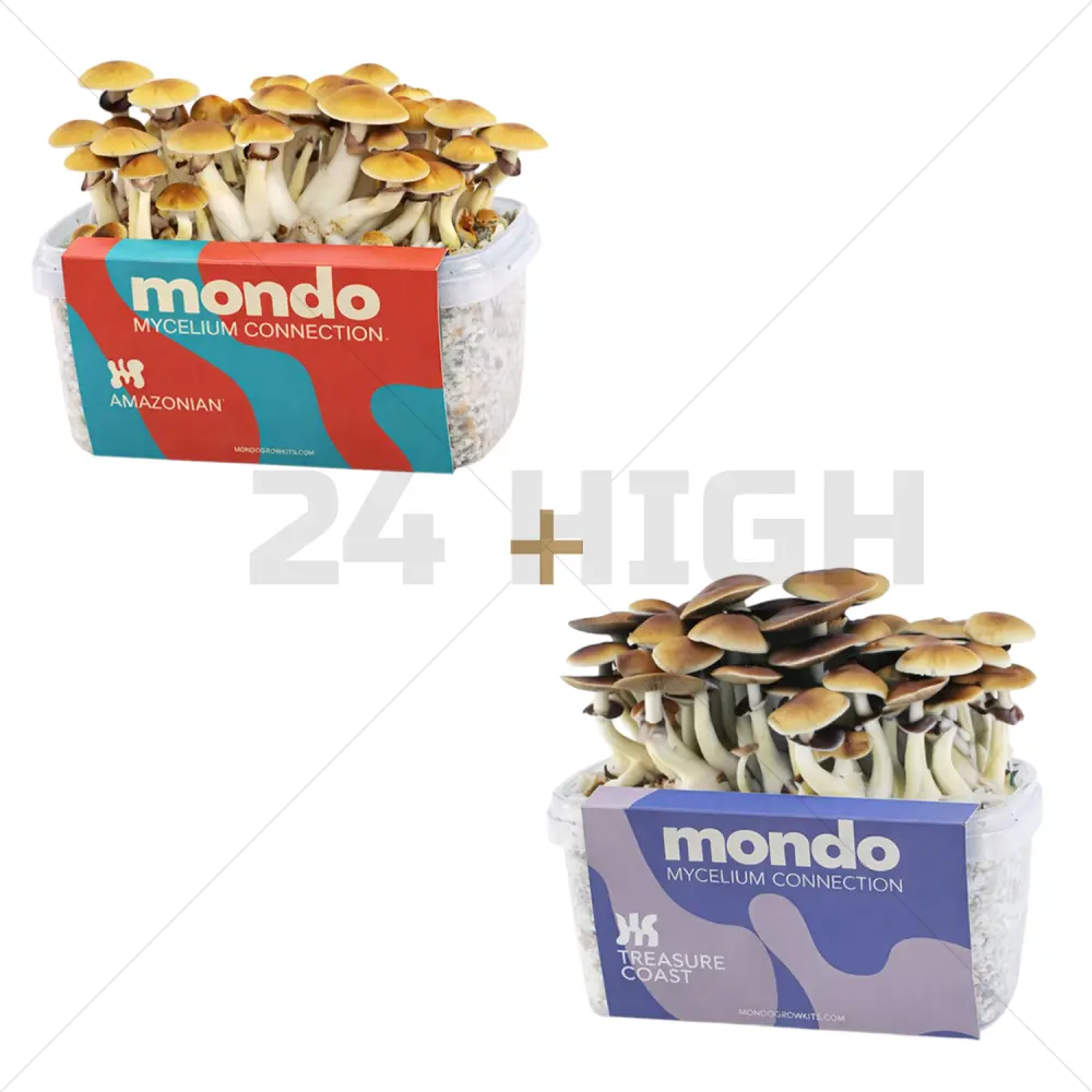 La Pareja Perfecta: Duo de Kits de Cultivo Mondo Amazonian XL & Treasure Coast XL