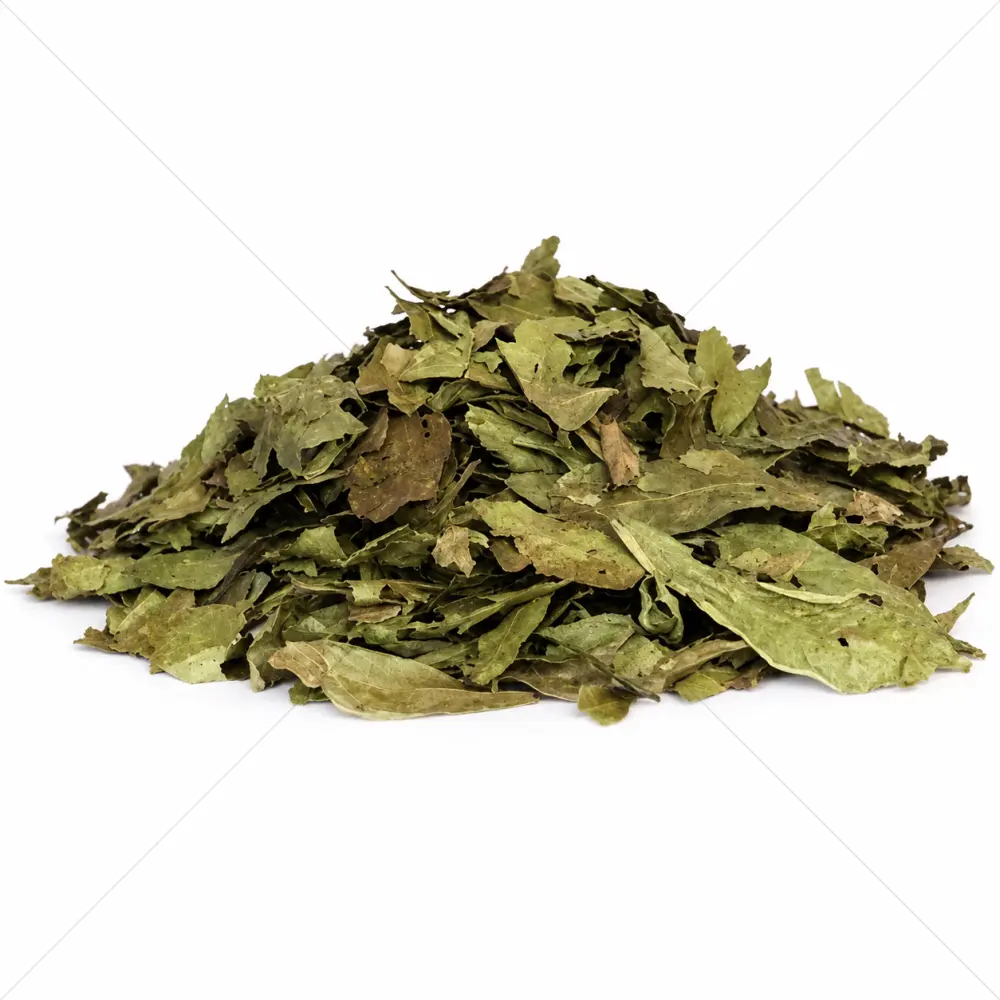 Chacruna (Psychotria viridis) Hojas – 50 gramos