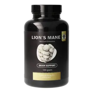 Melena de León (Hericium Erinaceus) - Apoyo Cerebral - 100 Gramos