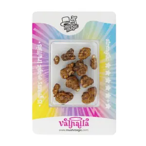 Trufas Psilocybe Valhalla 