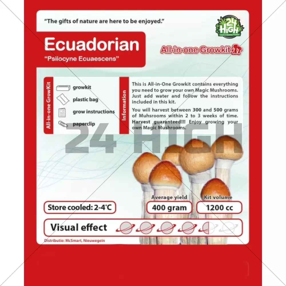 Ecuatoriano Kit de Cultivo de Setas