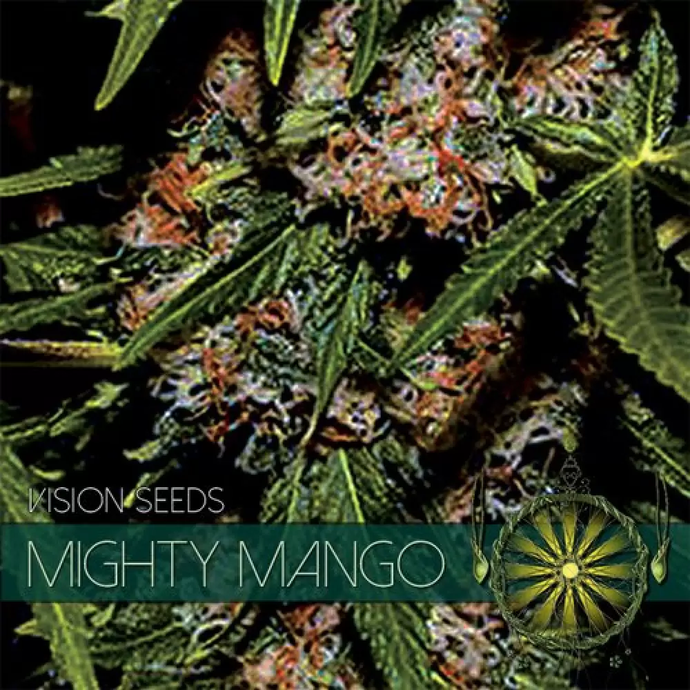 Mighty Mango Bud (Vision Seeds) feminizada