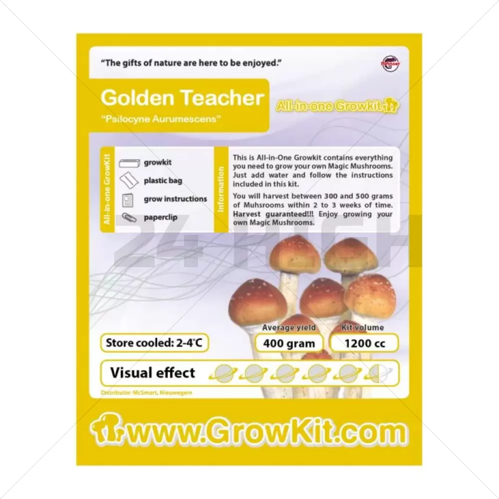 Golden Teacher Kit de Cultivo de Setas