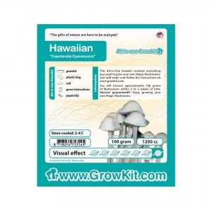 Copelandia Hawaiian-growkit-manual