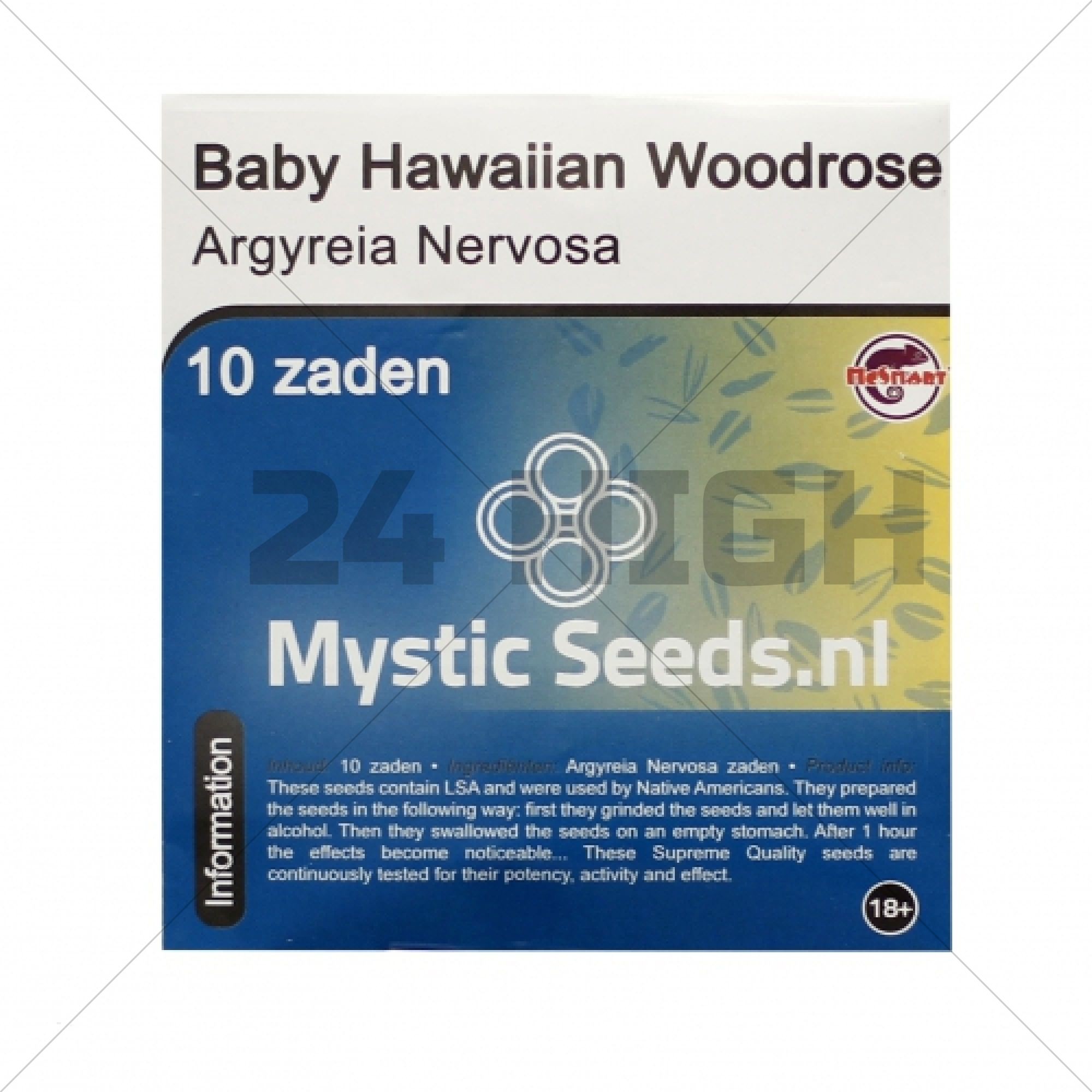 Baby Hawaiian Woodrose