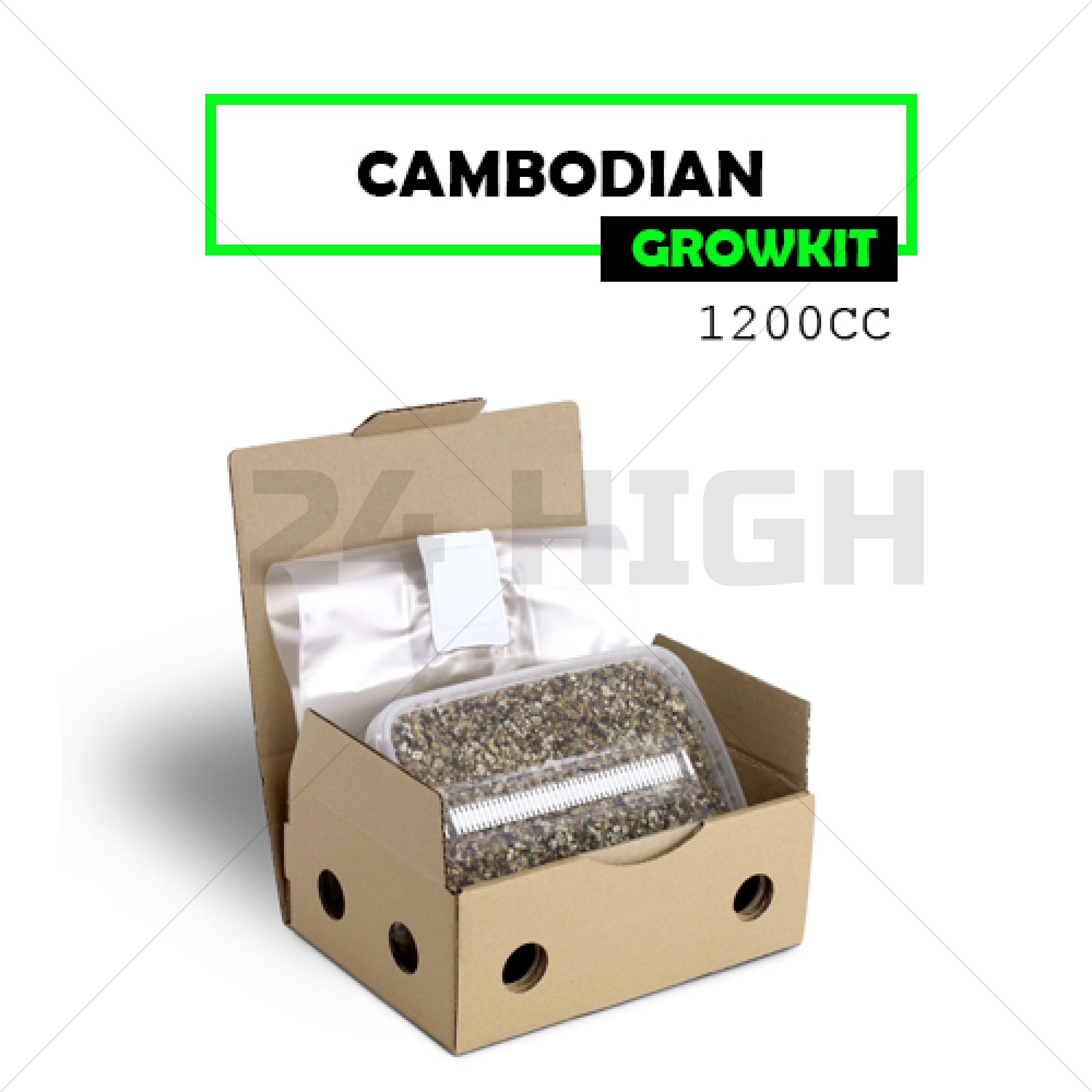 Kit de Cultivo de Setas Cambodian - Mondo