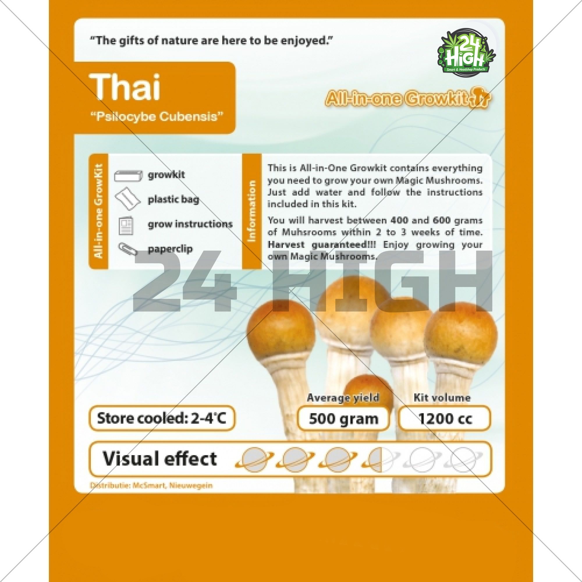 Thailandés Kit de Cultivo de Setas