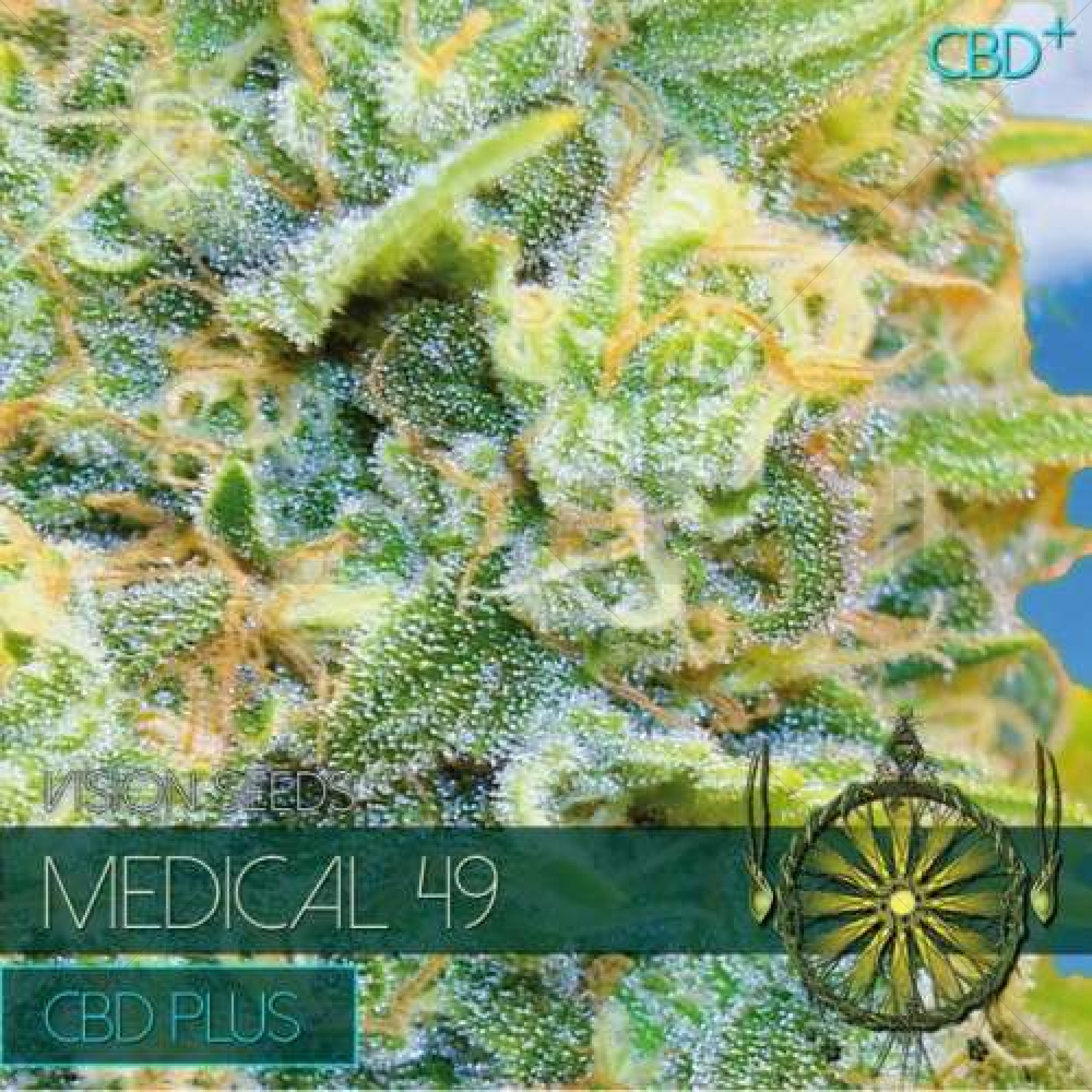 Medical 49 CBD+ (Vision Seeds) - 3 Semillas