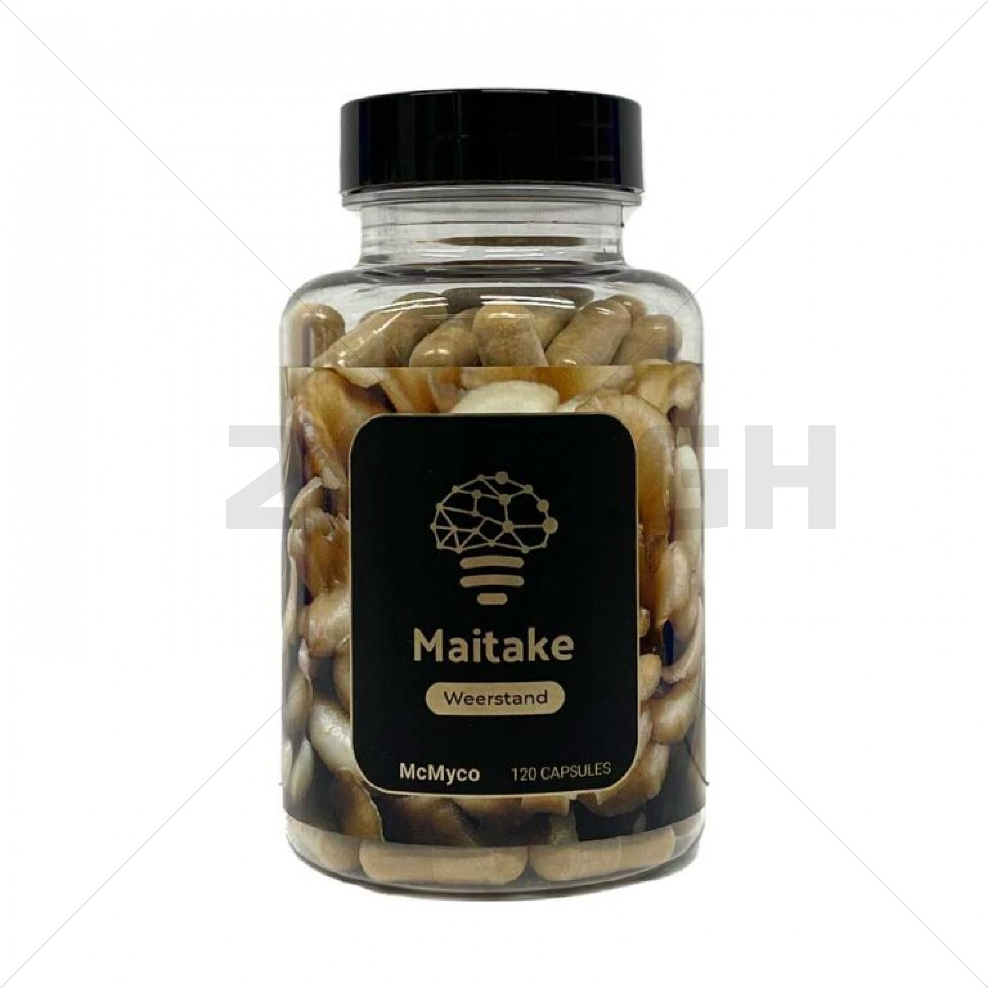 Maitake (Grifola Frondosa) - Resistencia